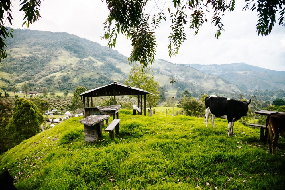 viewpoint at Lumbre glamping
