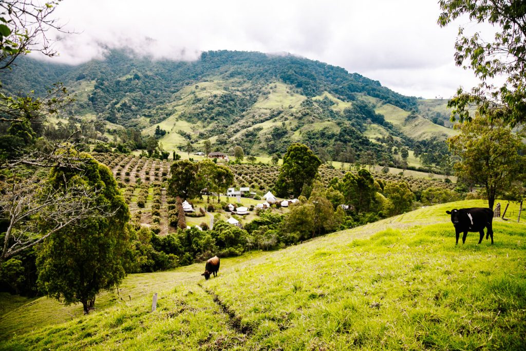 view of Lumbre glamping near Salento Colombia