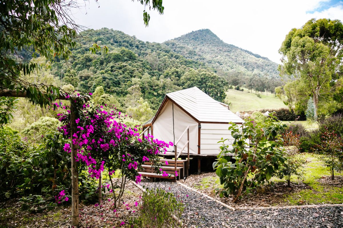 tent at Lumbre glamping near Salento Colombia
