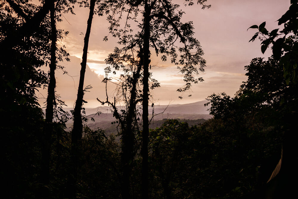 Sunset in cloud forest.