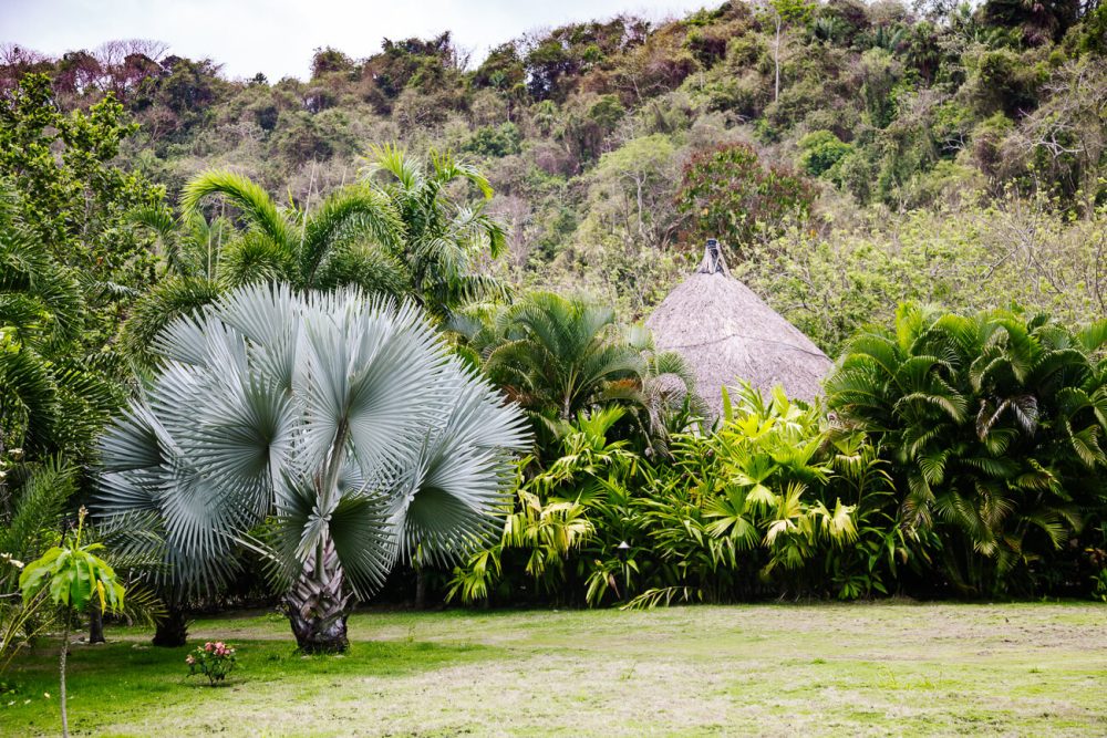 bungalows surrounded by greenery at One Santuario Natural hotel Palomino Colombia