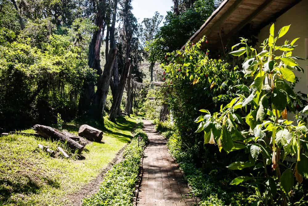 Complex of Hacienda Piman.