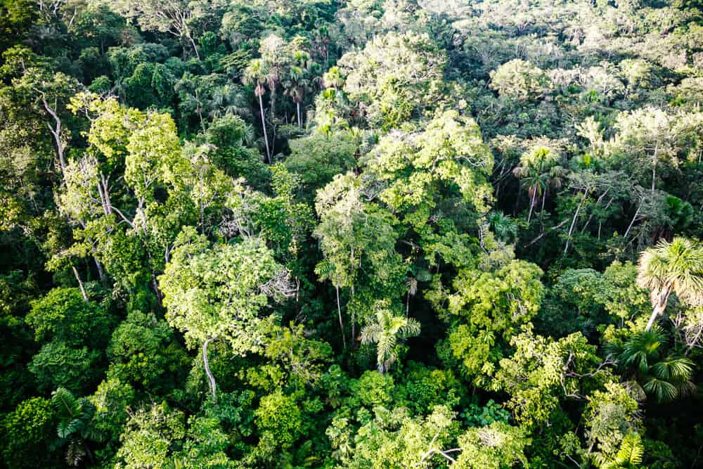 View from crane over Amazon Ecuador.