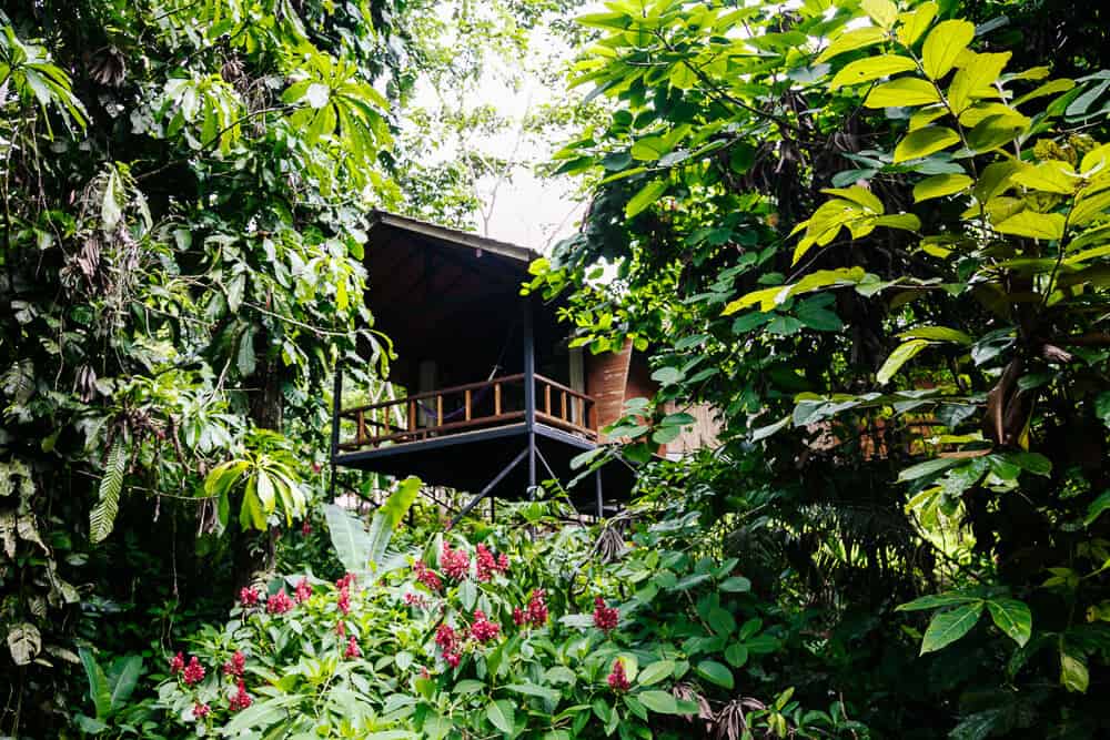 Sacha Lodge, near Coca, is one of the most beauiful jungle lodges and boutique hotels where you can discover the Amazon in a luxurious and comfortable way.