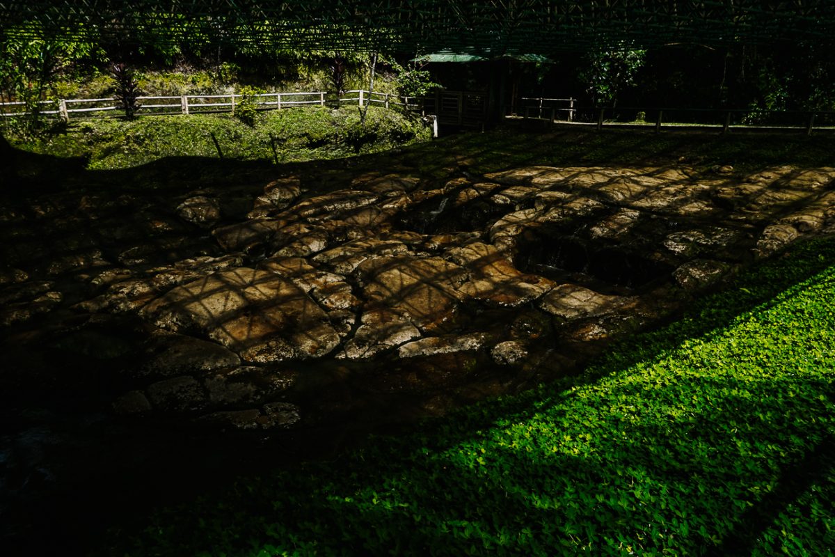 fuente de lavapatas Colombia