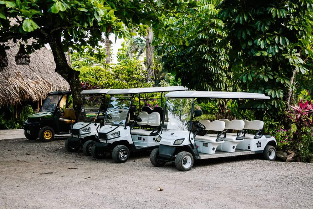 Golf cart to explore the Sleeping Giant.