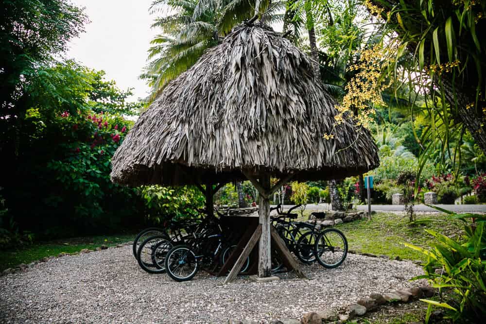 Bicycles to rent around the Sleeping Giant.