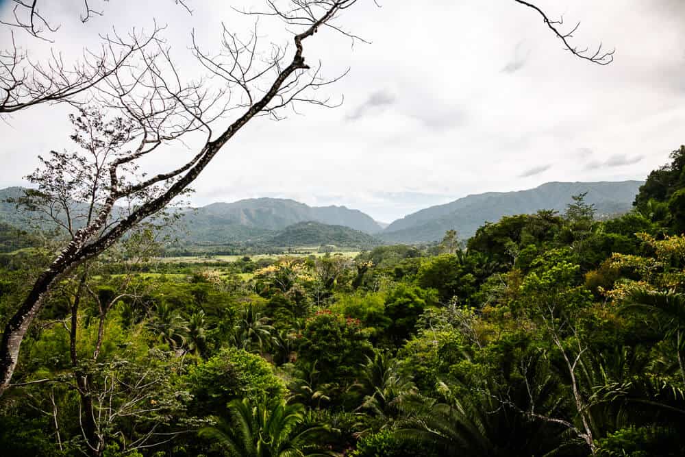 The Rainforest Lodge at Sleeping Giant – boutique hotel in Belize