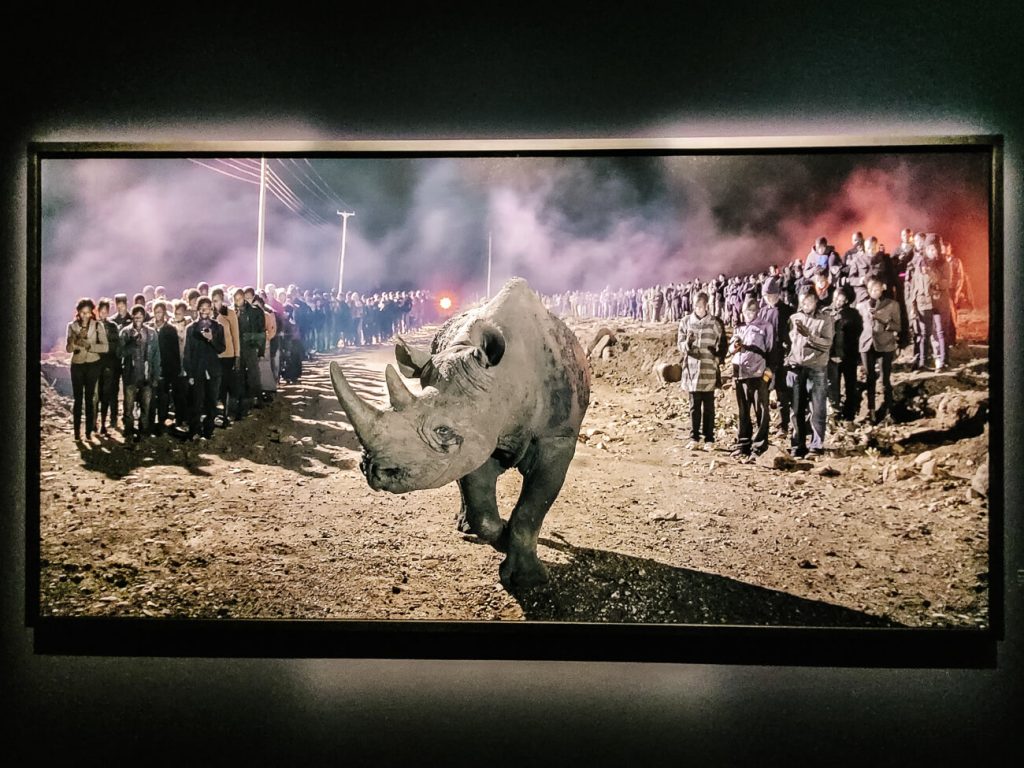 work of Nick Brand in Fotografiska Museum in Telliskivi