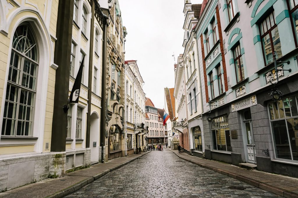 gild houses - one of the best things to do in Tallinn if you are interested in architecture and history