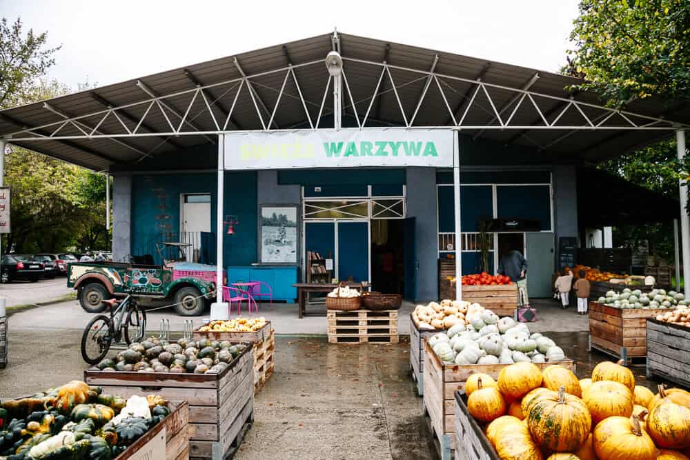 At the city farm Gospodarstwo Ludwik Majlert you can buy beautiful and fresh products from the private farm of Ludwik and family.