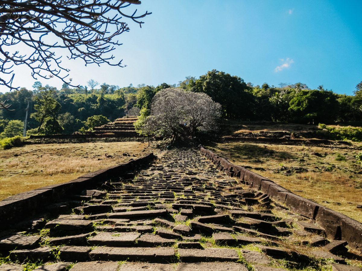 This staircase leads to the main temple of Vat Phou, dedicated to Shiva. 