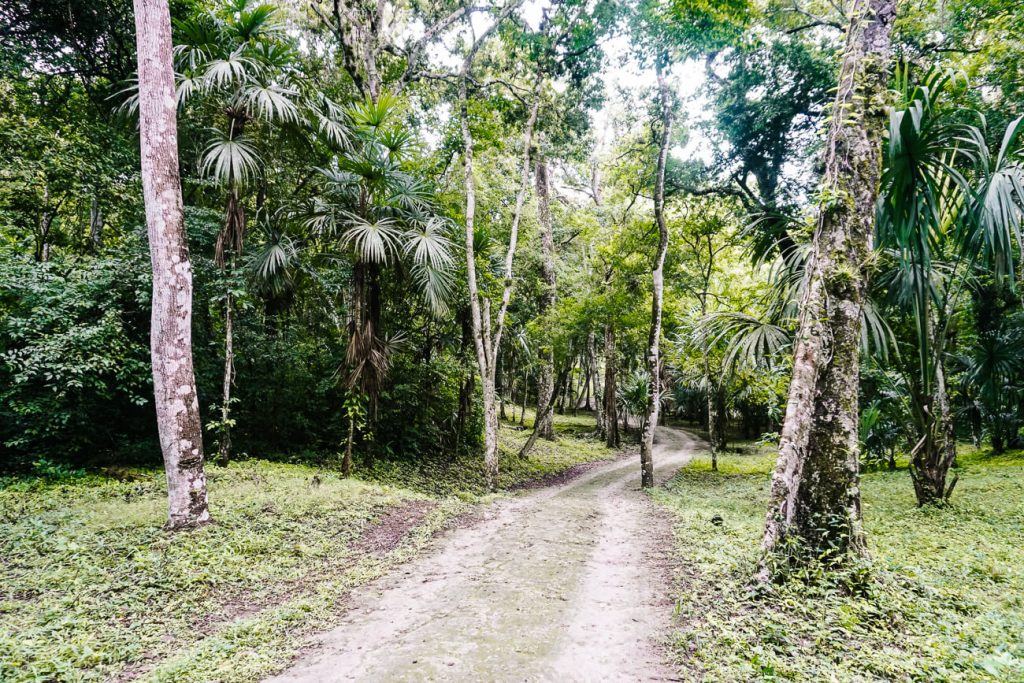 ancient Maya highway 