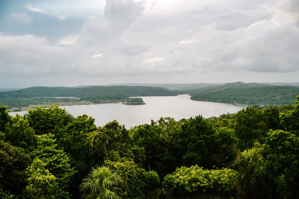 view from temple 216 of jungle surroundings 