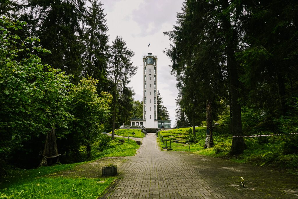 Suur Munamägi observation tower, one of the best views of South Estonia