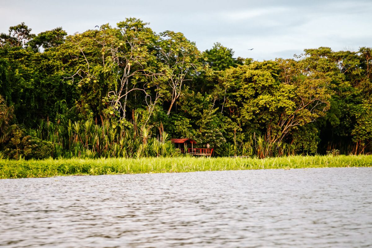 Calanoa Amazonas jungle lodge in Colombian Amazon