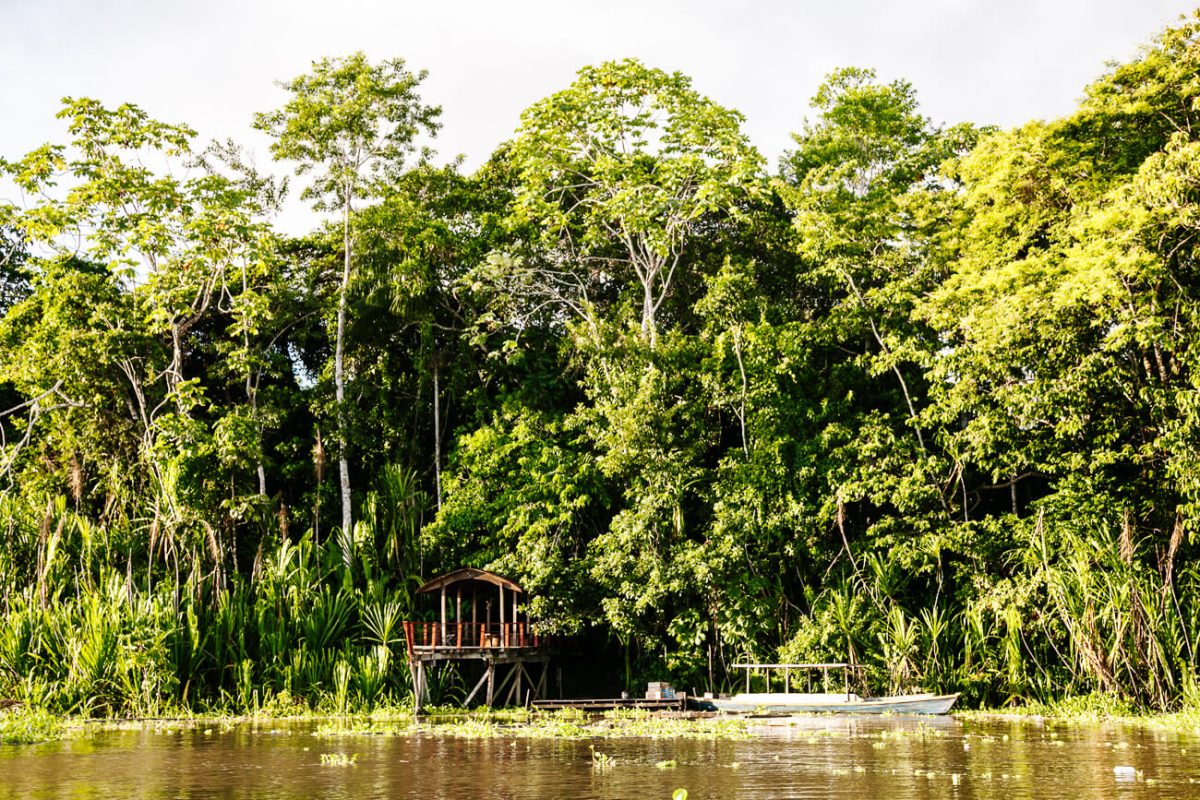 Calanoa Amazonas jungle lodge Colombian Amazon