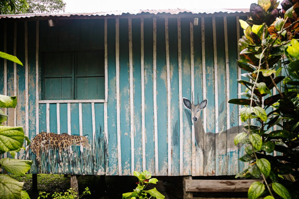 murals in Mocagua