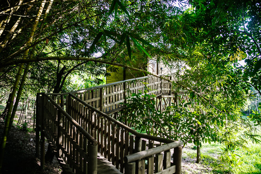 Rooms at Ankua Eco Hotel Usiacuri Colombia - the tree house suite.