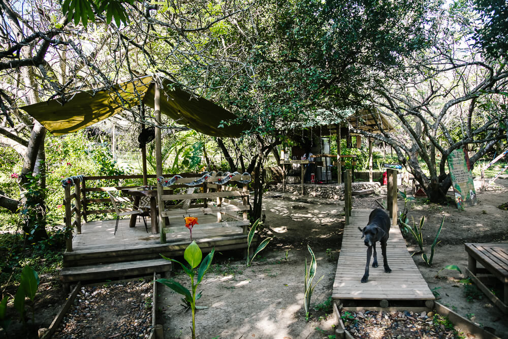 Restaurant of Ankua Eco Hotel Usiacuri.