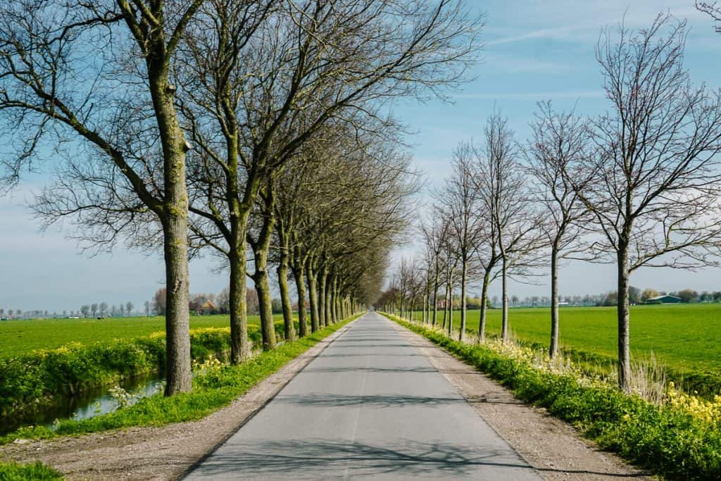 Beemster is an area located in the region of Laag Holland with towns such as Middenbeemster, Westbeemster, Zuidoostbeemster and Noordbeemster. It is famous for its unique polder systems. 