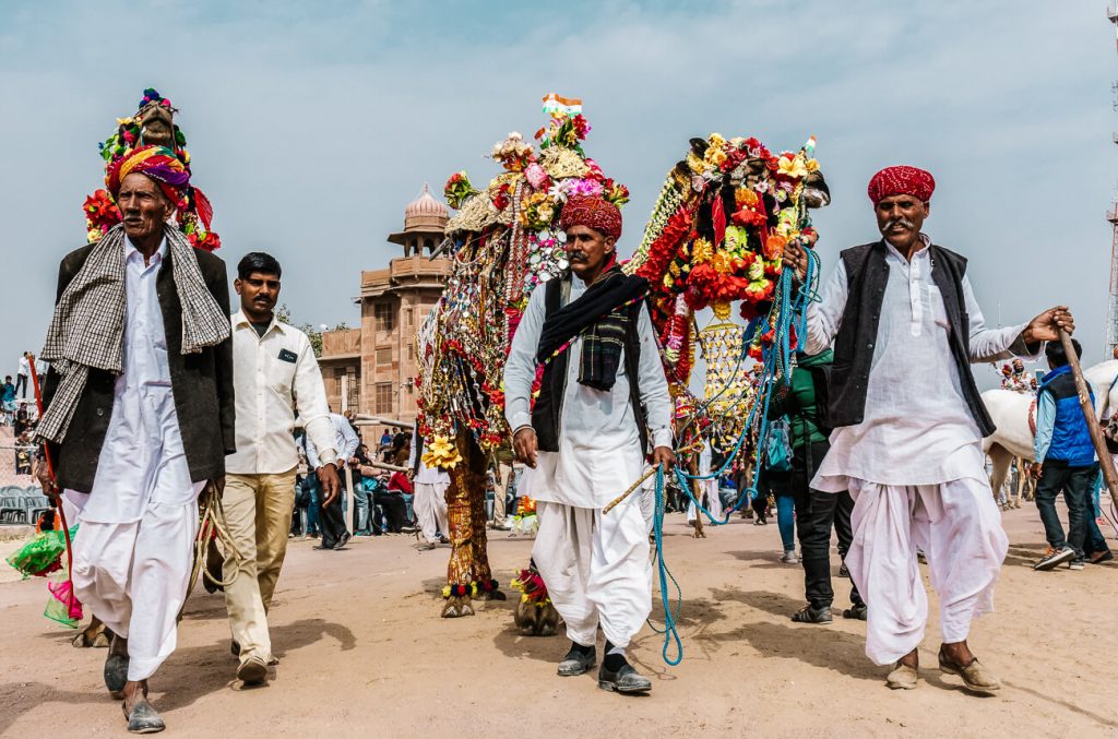 Jaarlijkse International Camel Festival in Bikaner India.