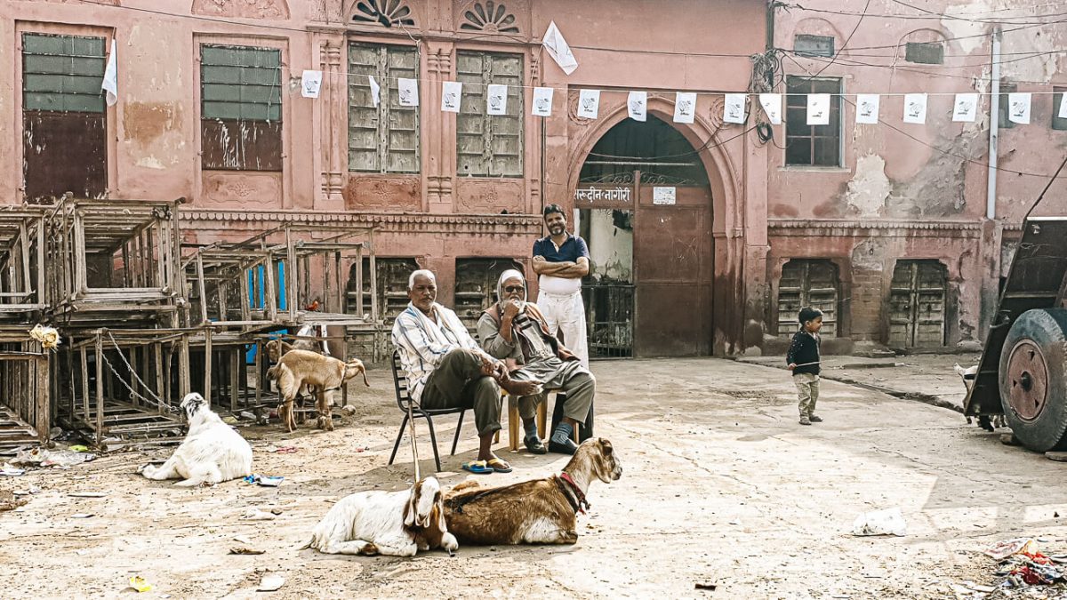 Bikaner bezienswaardigheden: ontdek de woestijnstad van Rajasthan in India!