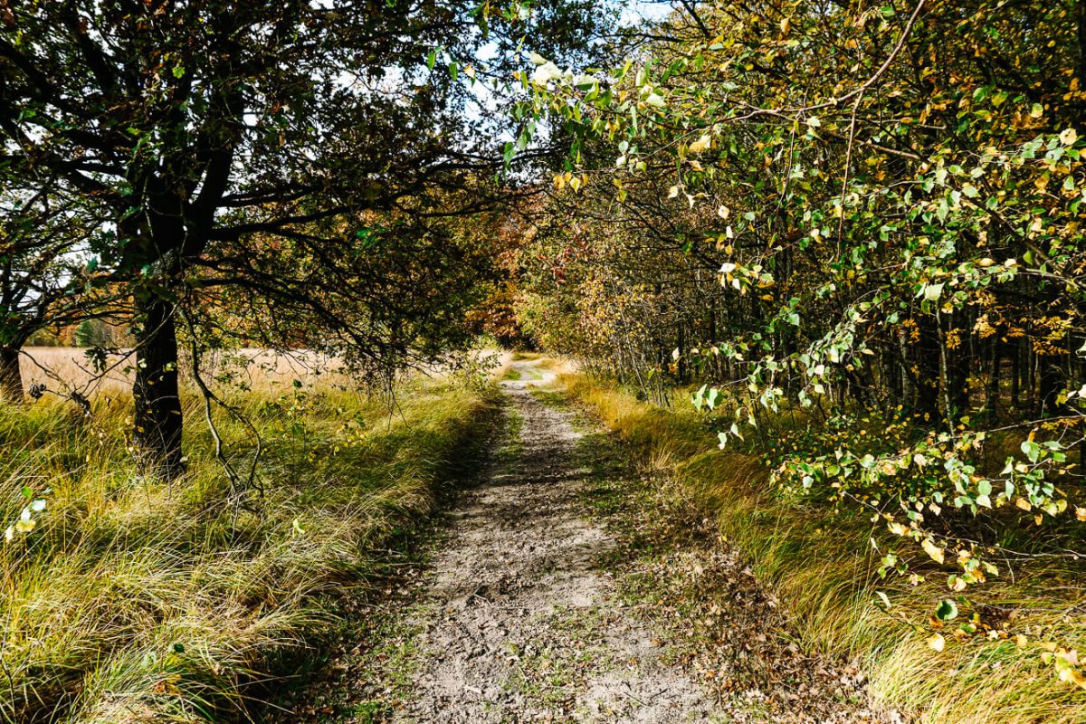 paden tijdens Cabiner trekking in Drenthe