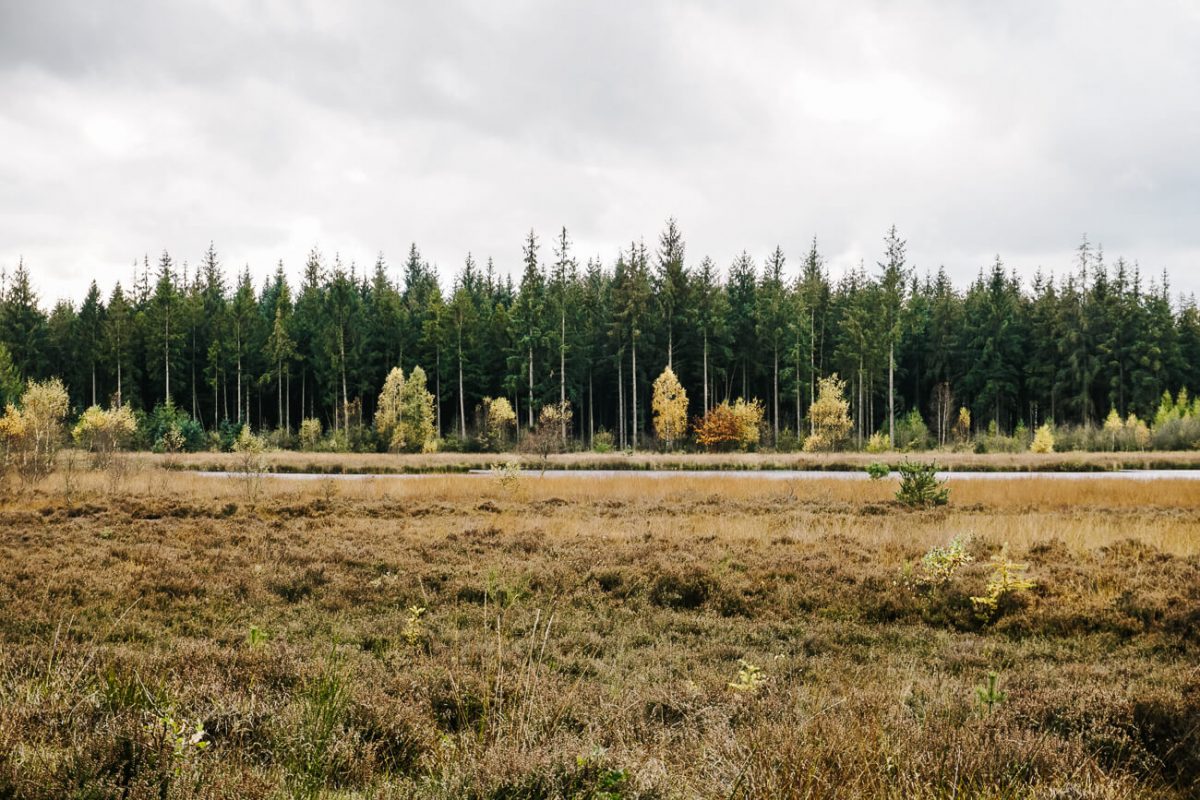 route Cabiner trekking in Drenthe