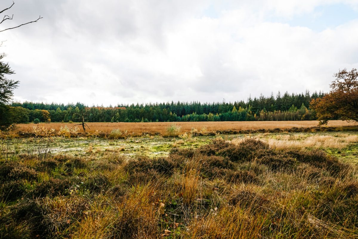 uitzichten tijdens Cabiner trekking in Drenthe