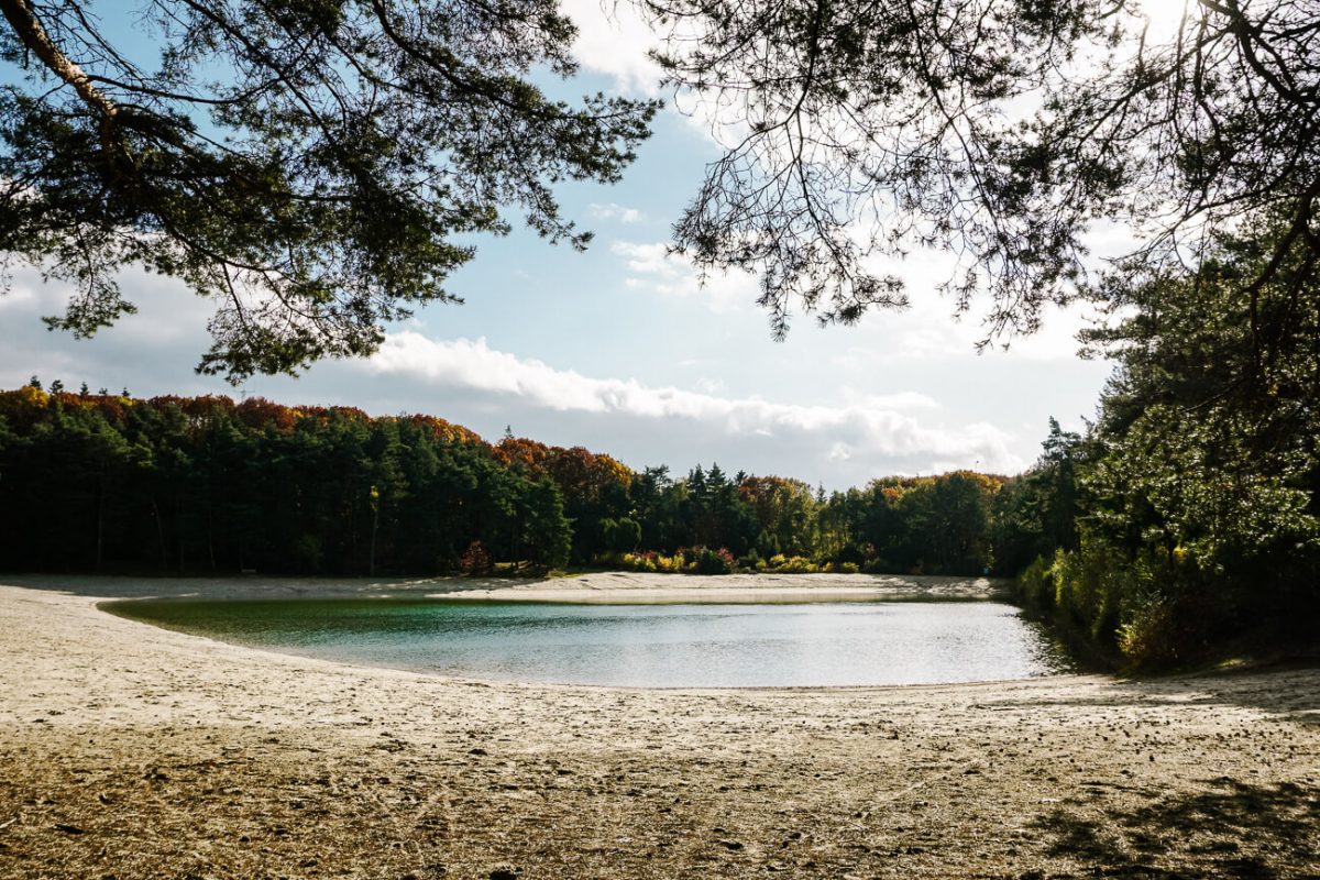 meertje in Nationaal Park de Drentsche Aa