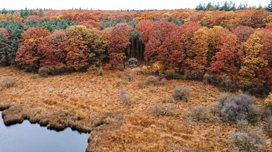 Cabiner, gelegen aan vennetje in Nationale Park de Drentsche Aa