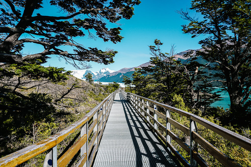 Trails around the Perito Moreno glacier.