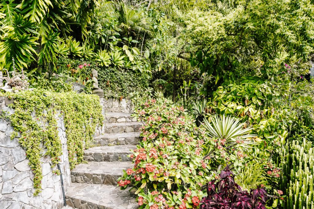 Casa Prana has some lovely hiking offering great views of the lake