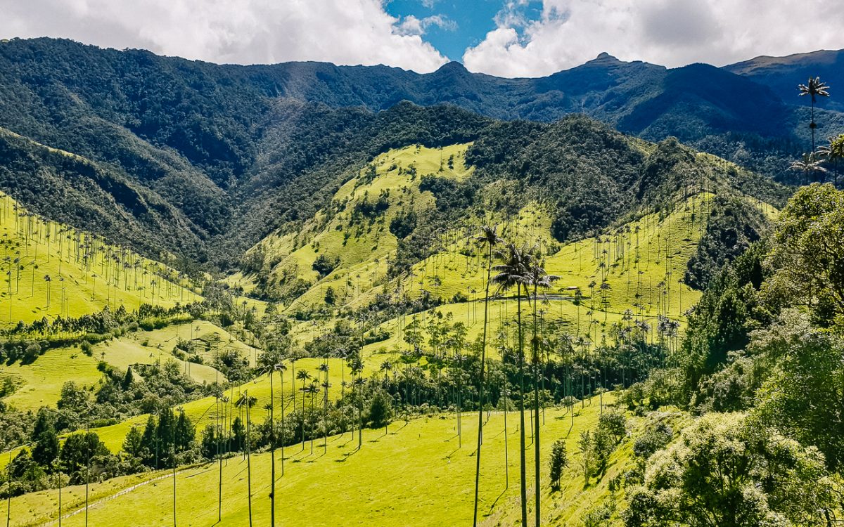 The Cocora valley lends itself perfectly to a number of long and short hike options, starting in Cocora village.