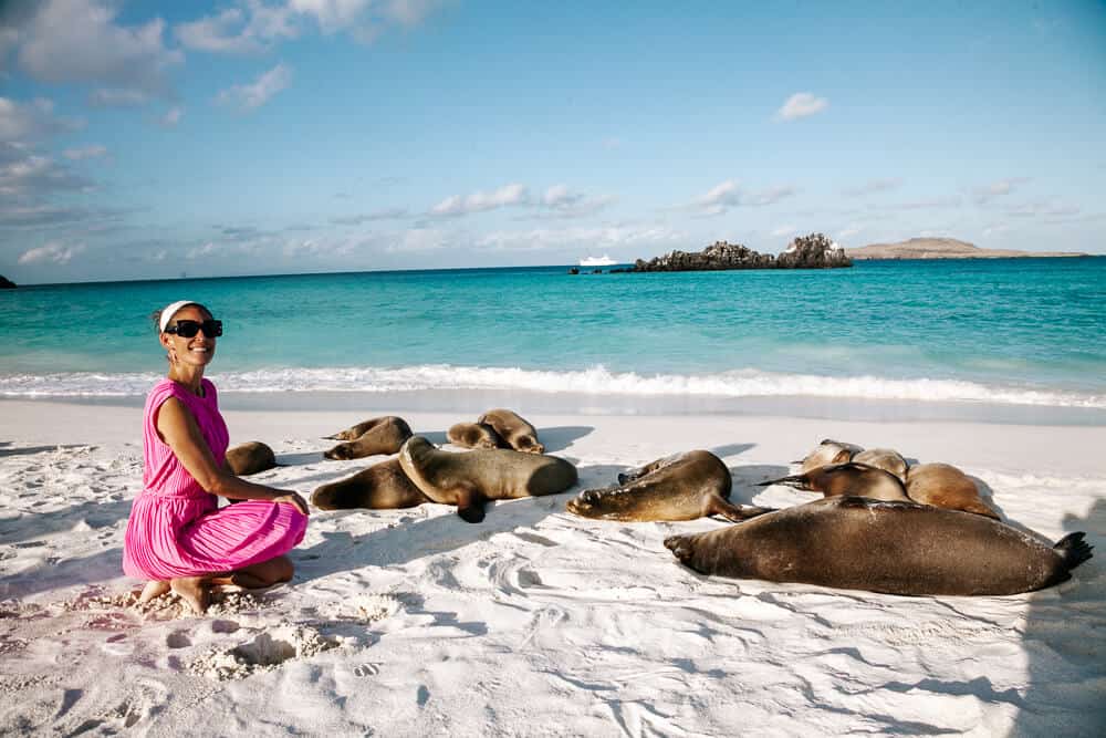 The Galápagos Islands, located off the coast of Ecuador, are one of the top attractions and things to do in Ecuador. In this paradise, animals don’t see humans as enemies, leading to the most unique experiences you won’t find anywhere else in the world.