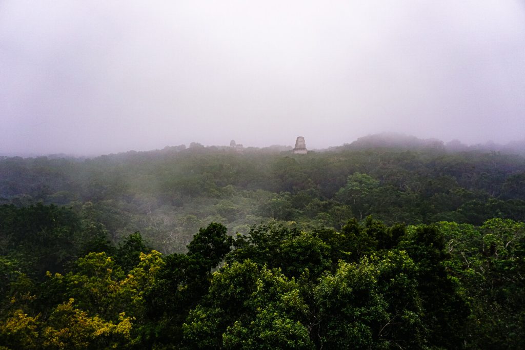 view of temple 4 | during a tikal day tour