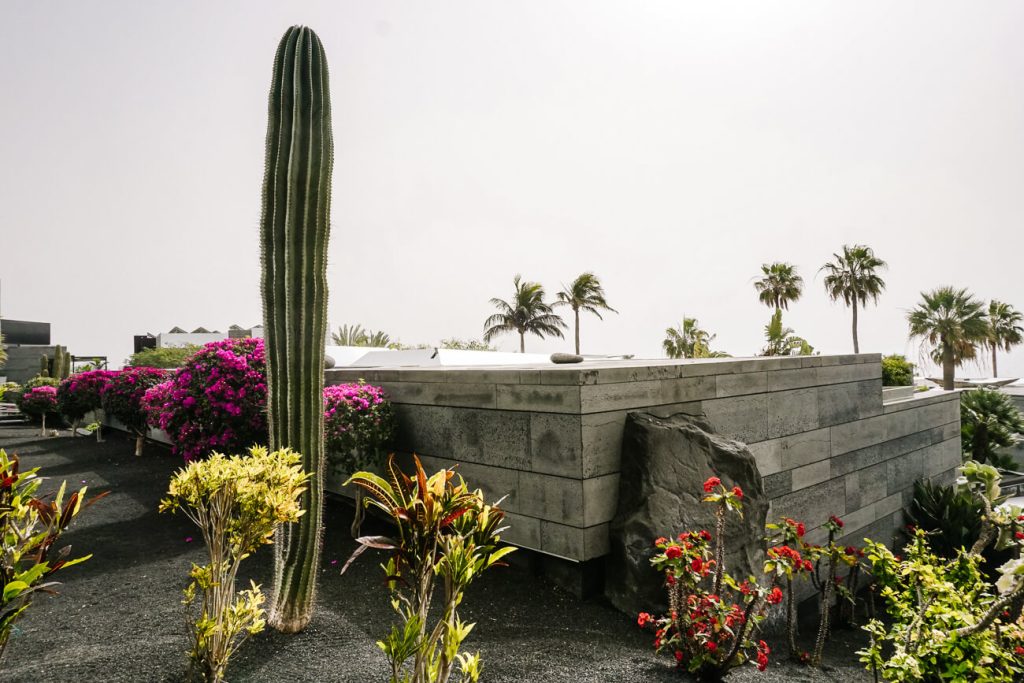 cacti in boutique hotel La isla y el mar Lanzarote