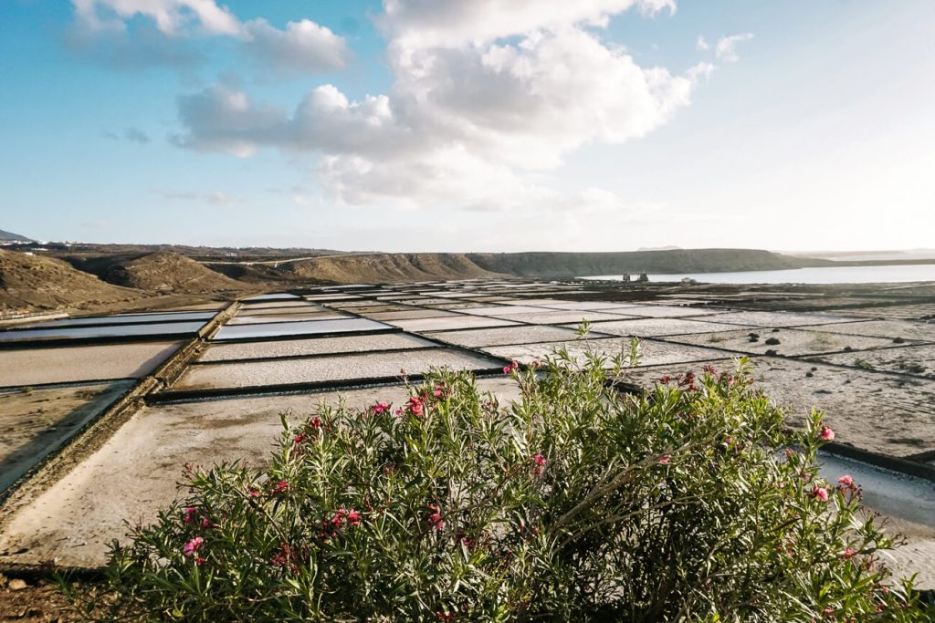 View of Salinas de Janubio - salt pans Lanzarote