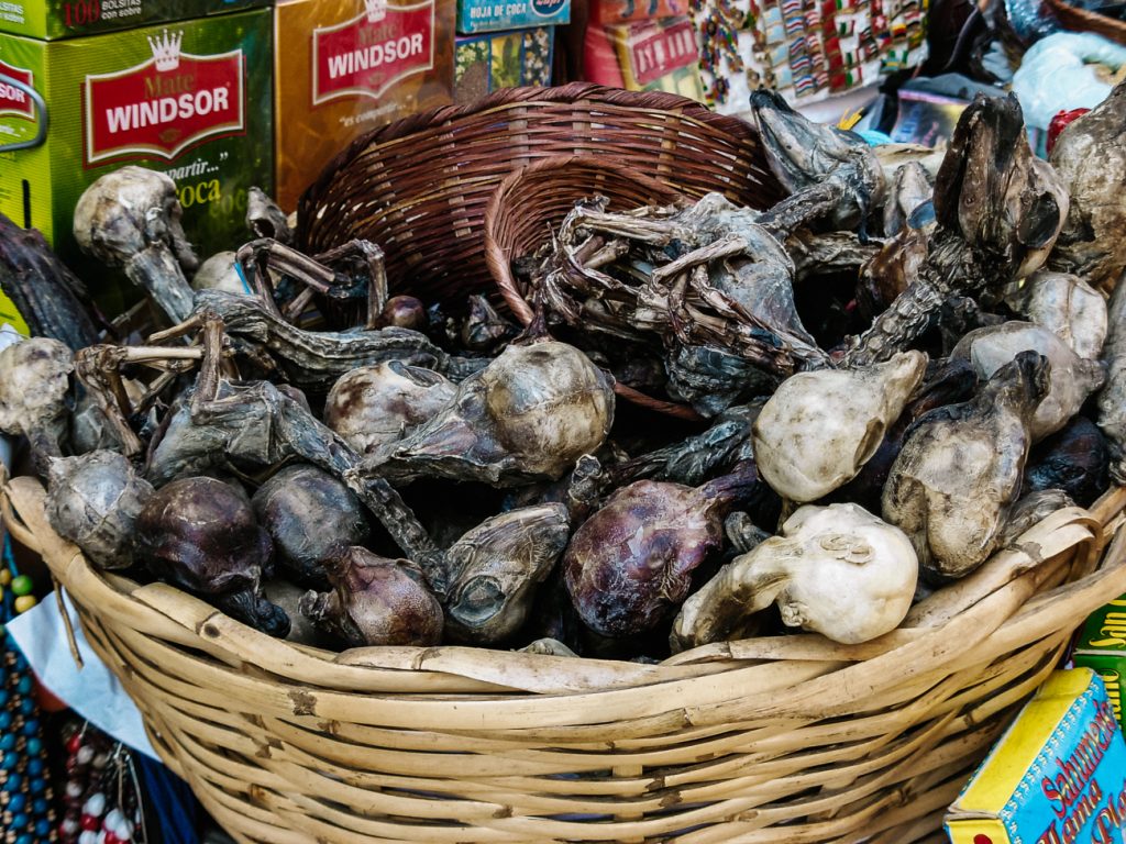 In La Paz and el Alto there are famous witch markets, where you will encounter many shamans, traditional doctors and offerings.