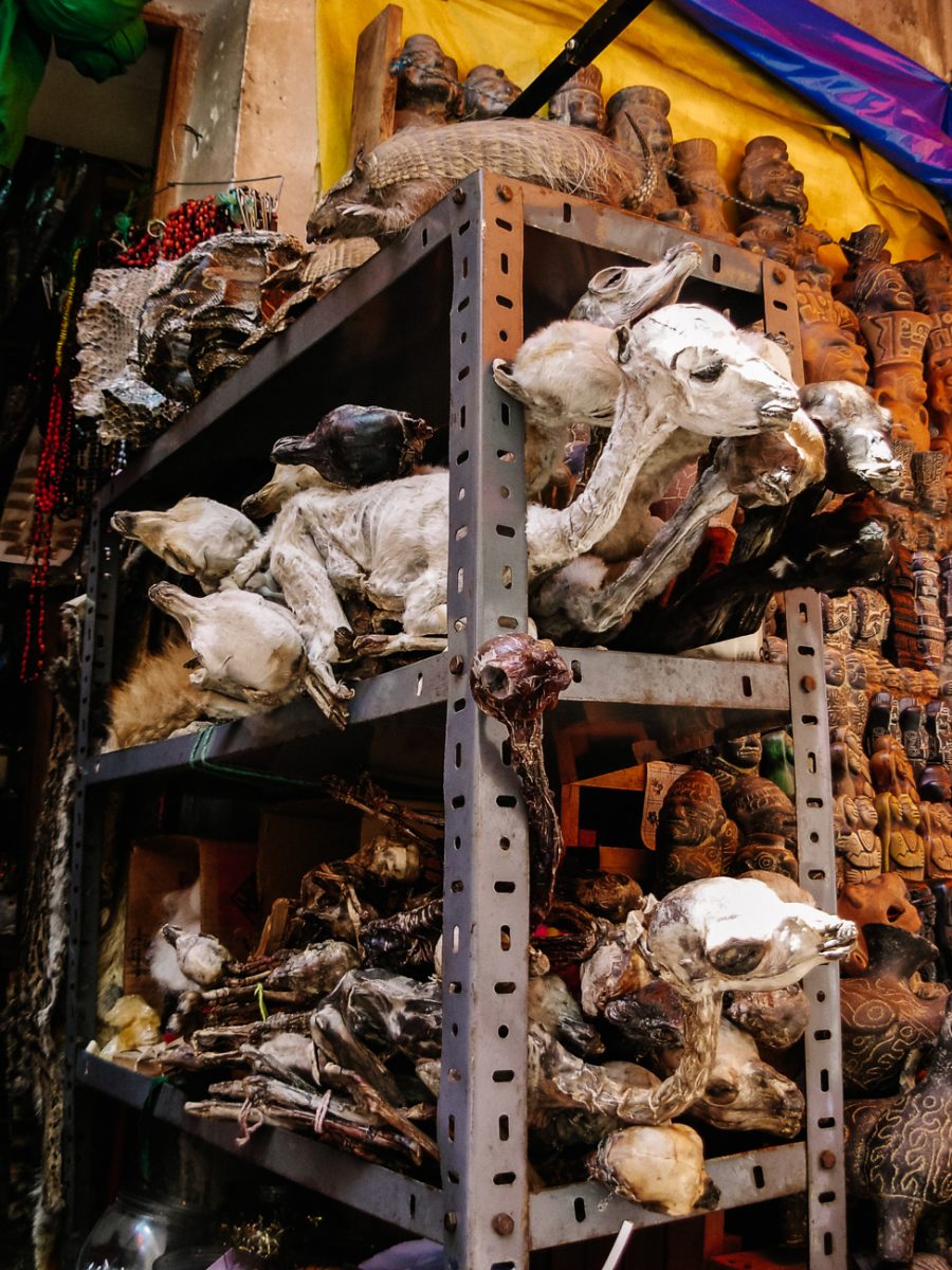 Llama fetuses on the witch market of La Paz.