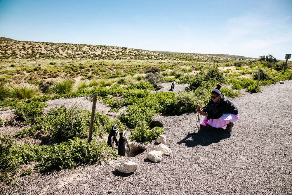 Deborah taking pictures of penguins in Punta Tombo - Puerto Madryn Argentina.