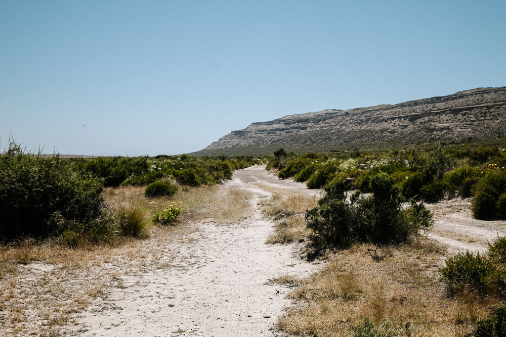 Punta Ninfas in Argentina.