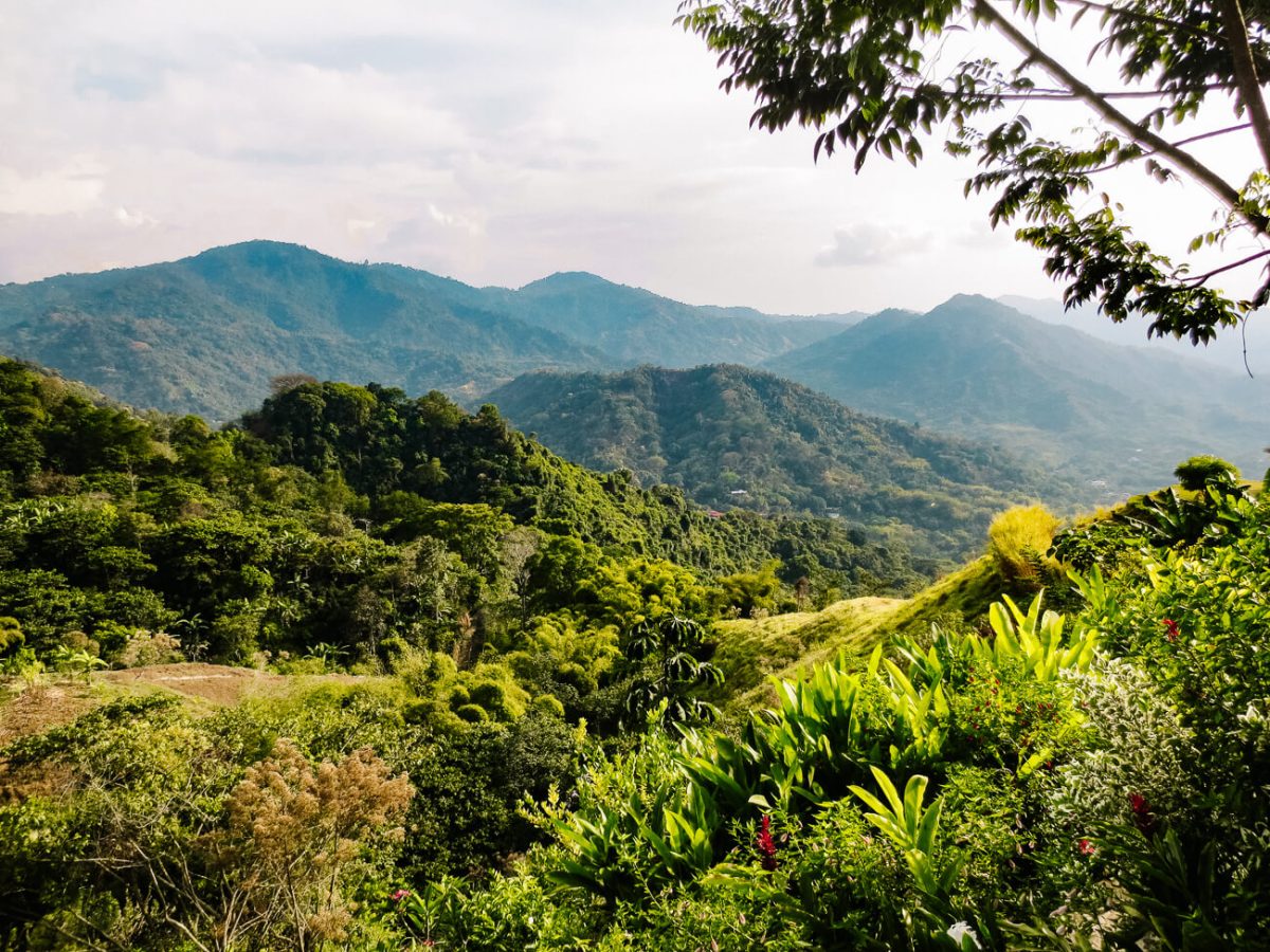 Minca Colombia | Ontdek dit leuke bergdorpje met deze tips en bezienswaardigheden!