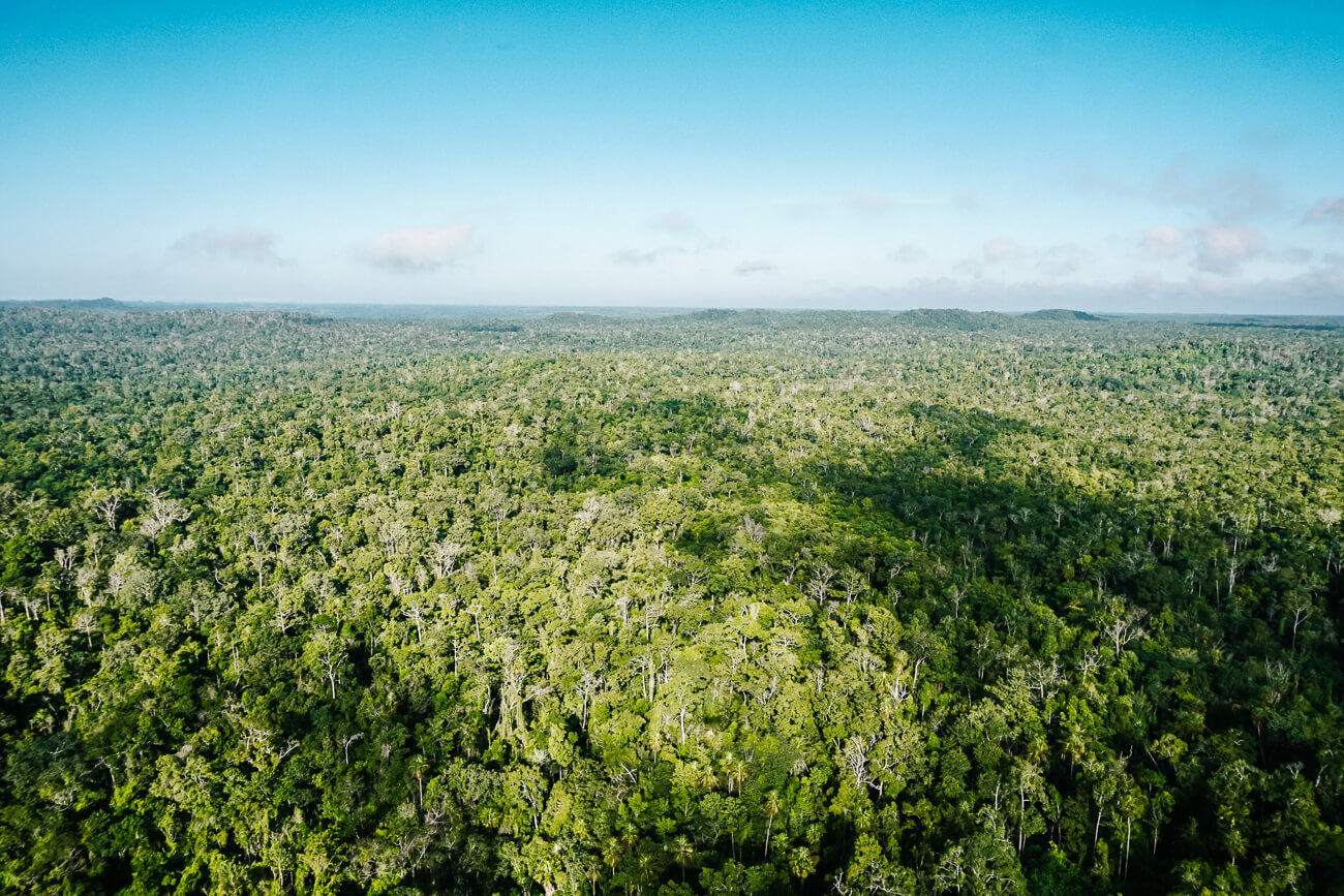 view of jungle from El Mirador Guatemala helicopter tour
