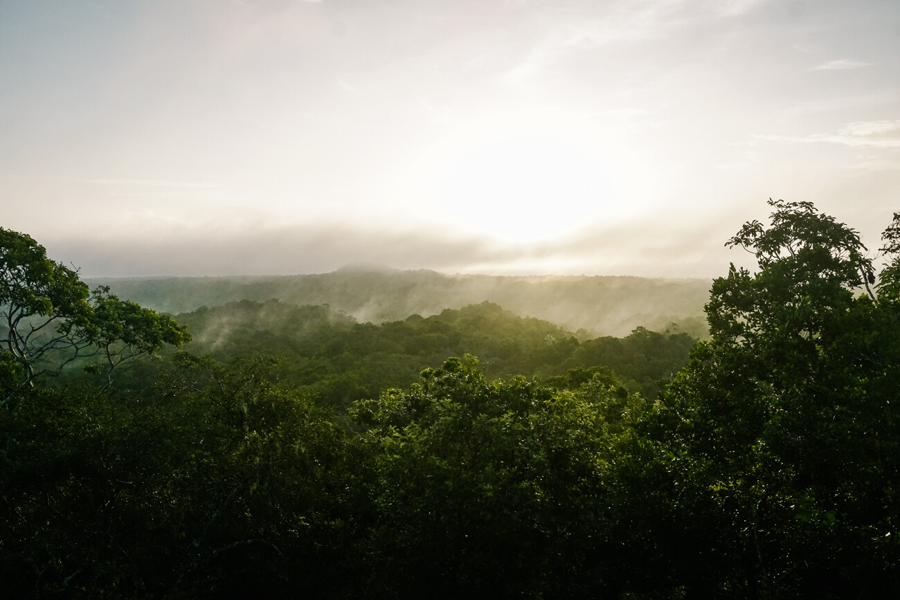 view of jungle from Maya tempel