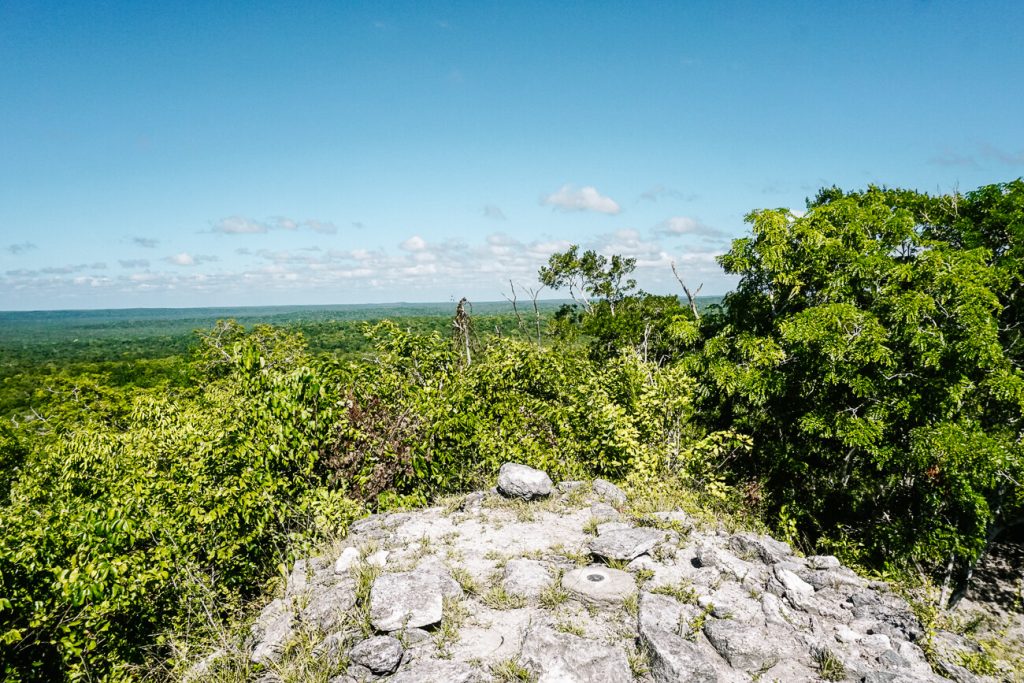 view of jungle from Nakbe Maya temple Guatemala