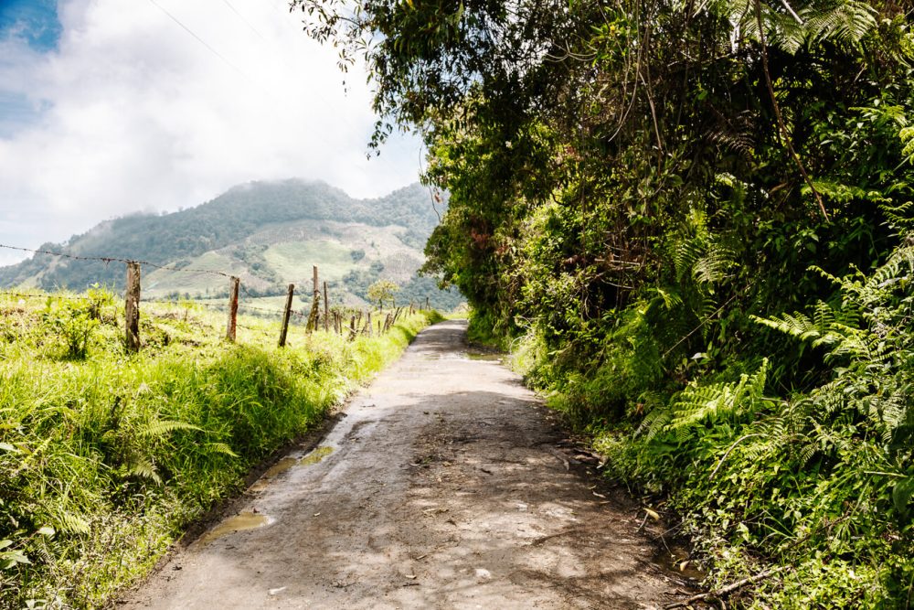 road of Ruta del condor in Colombia