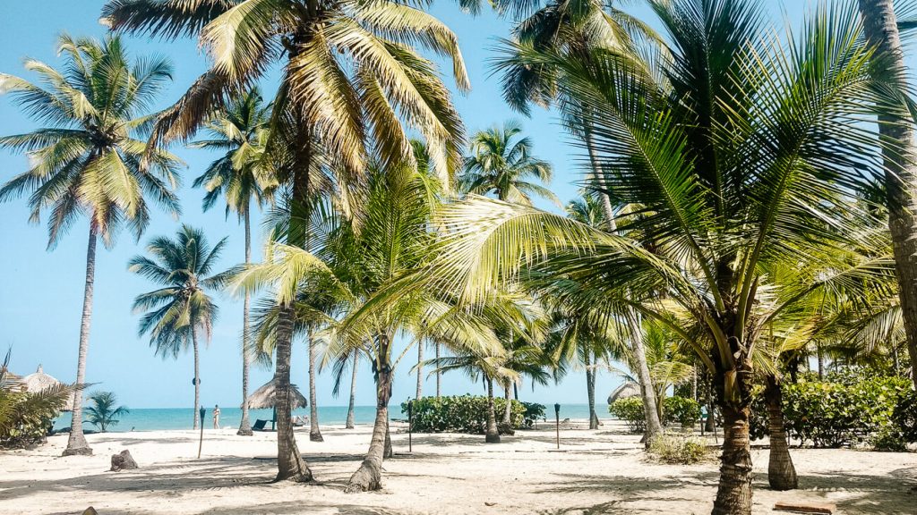 Rondom Palomino aan de Caribische kust, vind je fijne stranden.