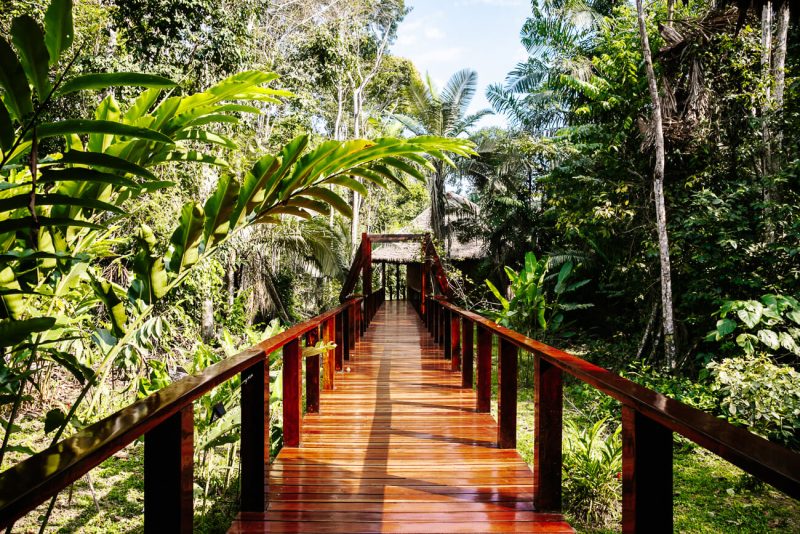 Posada Amazonas – Discover this Rainforest Expeditions jungle lodge in Tambopata Peru!